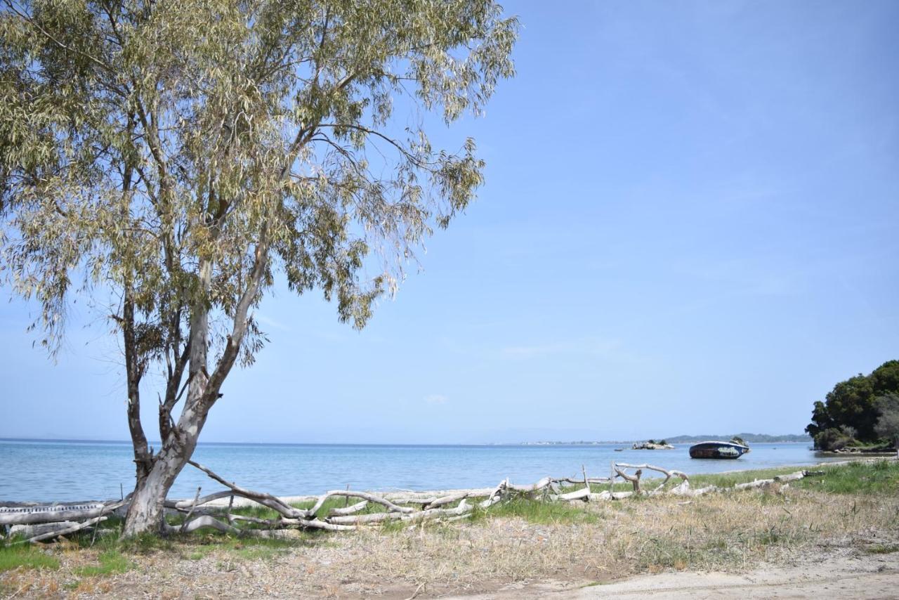 Petrití Corfu Seaview Maisonette - Sopra Il Mare מראה חיצוני תמונה